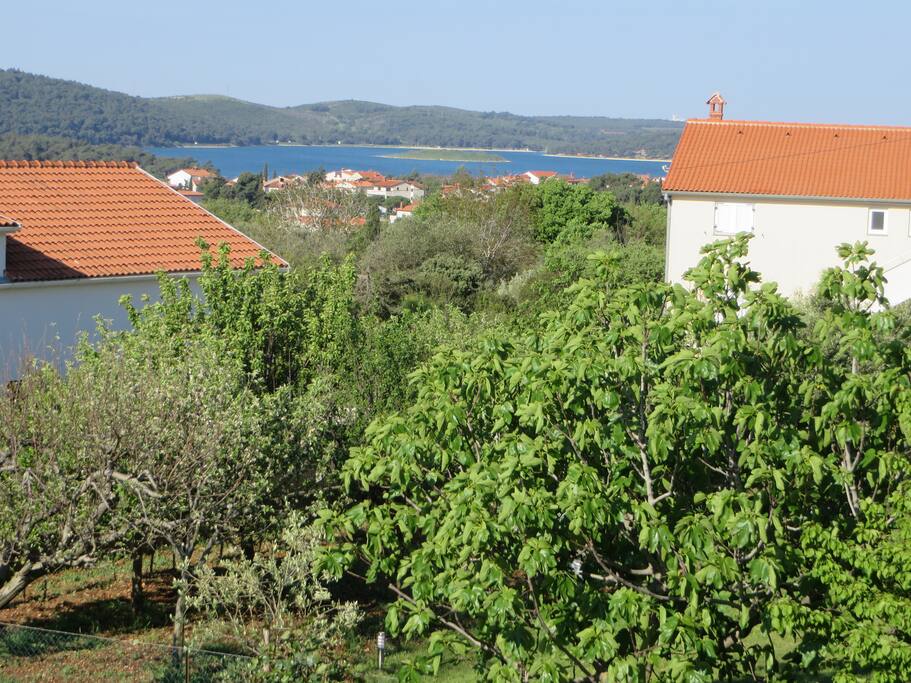 The view from the balcony