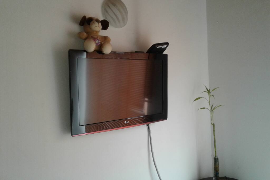 TV PRINCIPAL