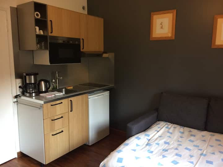 Studio Indépendant / Orly Airport, Paris 30 Min - Juvisy-sur-Orge