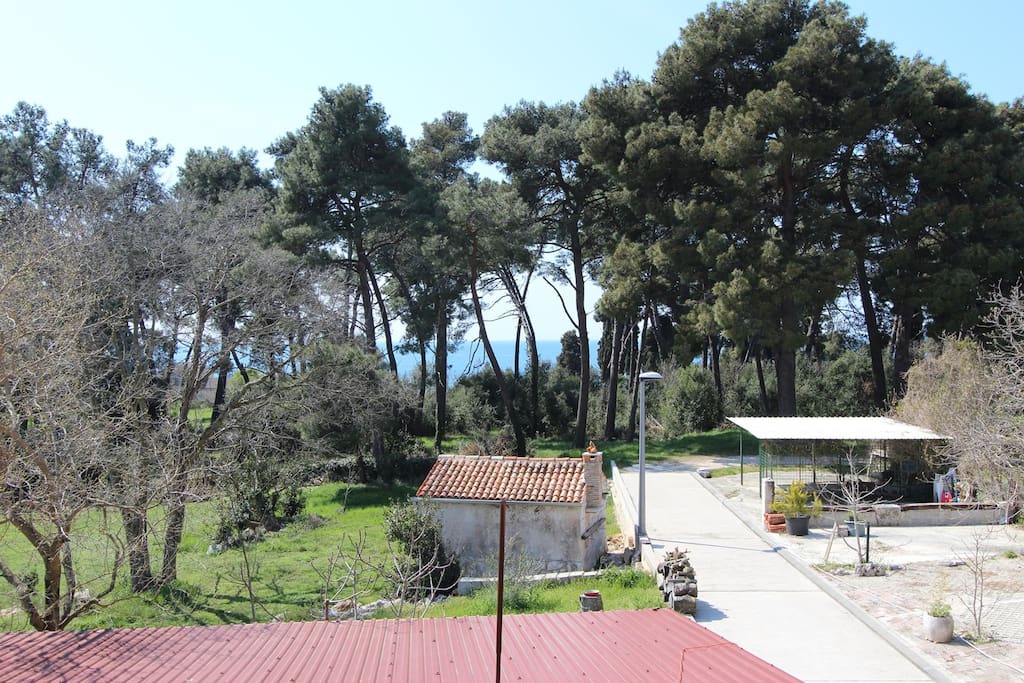 Laste Rovinj privatni smještaj ferienwohnungen Unt