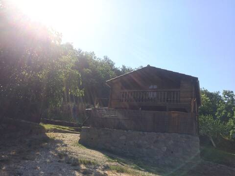 The chalets at the foot of the Canigou mountain