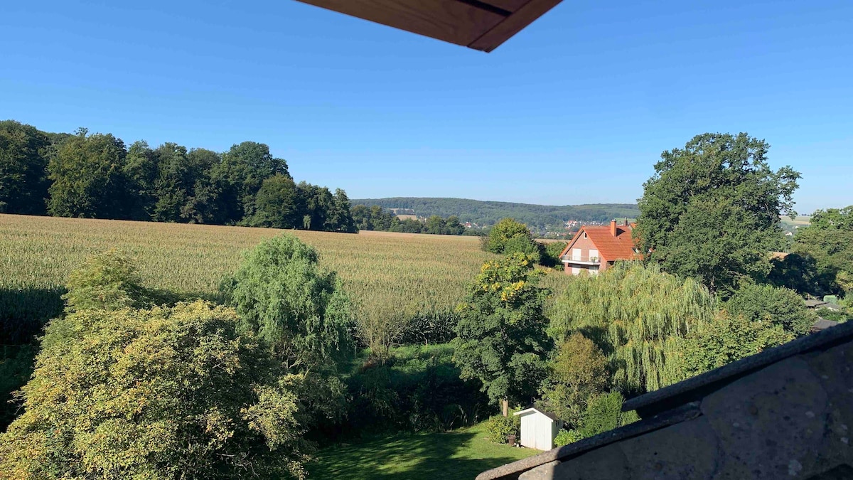 A scenic view from the cabrio window showcases lush green fields and trees under a clear blue sky. The landscape includes distant hills and a charming house partially visible in the foreground. The vibrant greenery creates a peaceful atmosphere.