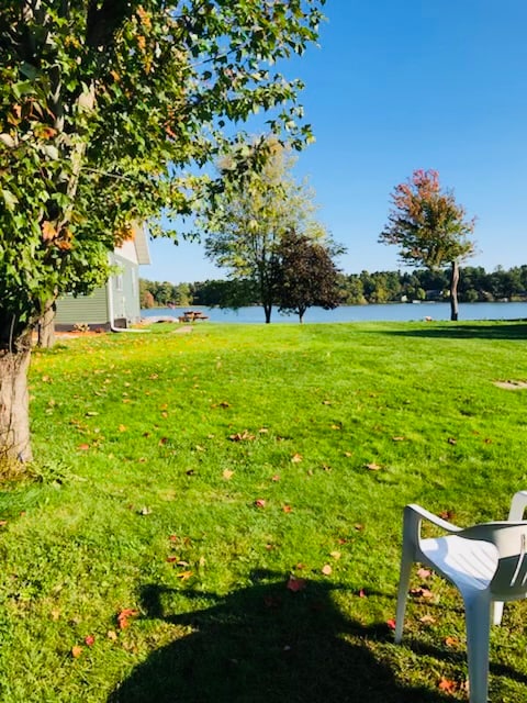 A serene lakeside scene showcases well-maintained green grass dotted with fallen leaves. Two trees frame the view, which opens to a calm body of water. A picnic table and additional seating can be seen nearby, inviting outdoor gatherings.