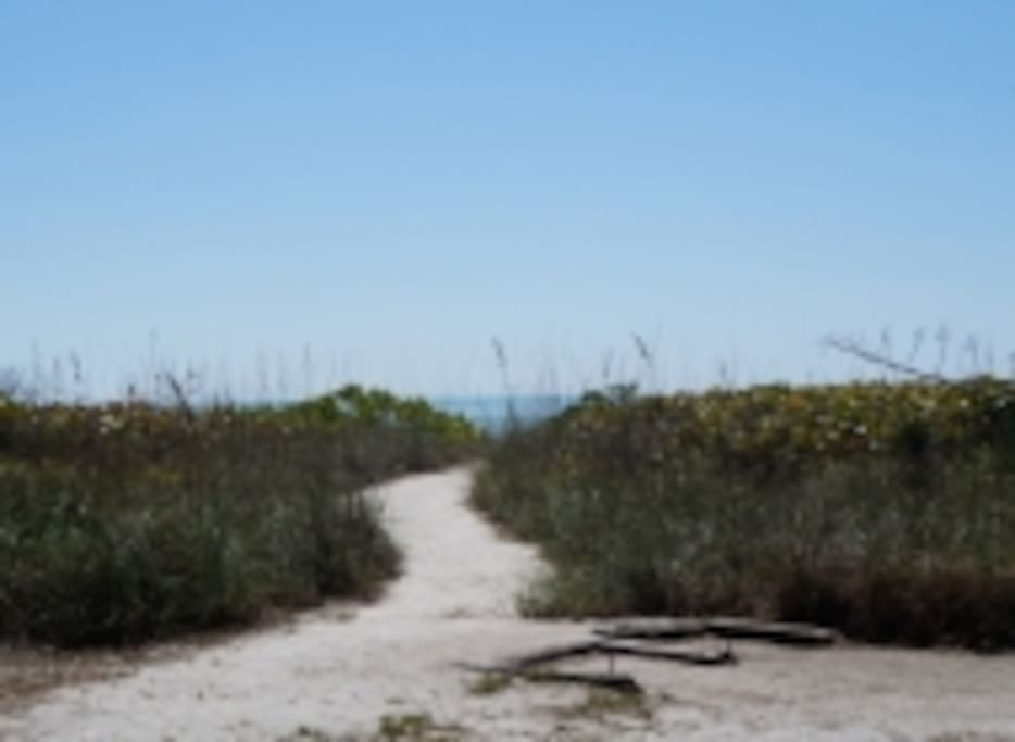 Down this path is the beach.