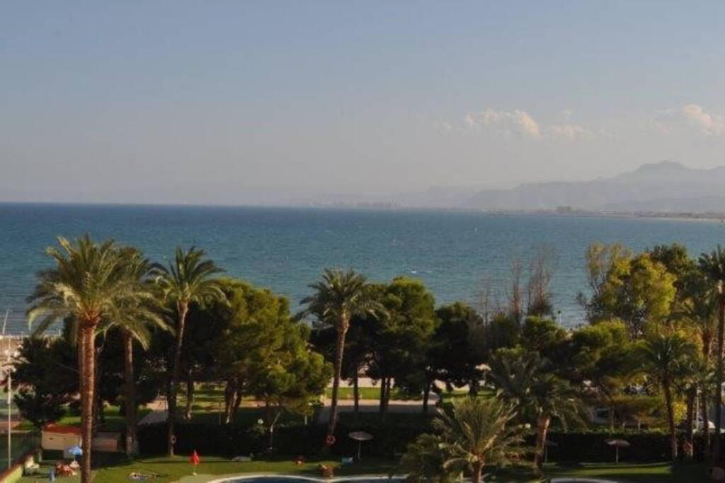 View from terrace