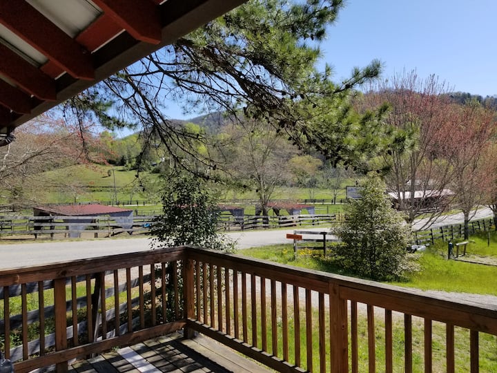 Pisgah Forest Vacation Rentals & Homes North Carolina, United States