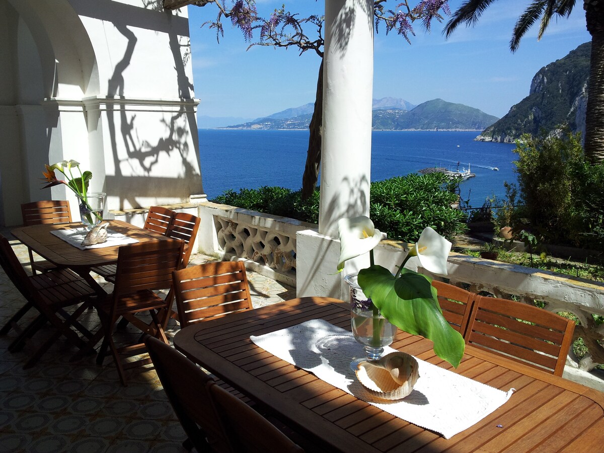 A terrace is shown with multiple wooden tables arranged in an open area. Soft sunlight filters through the lush foliage, casting shadows on the floor. Clear views of the tranquil blue sea and distant hills are visible, creating a serene outdoor dining space.