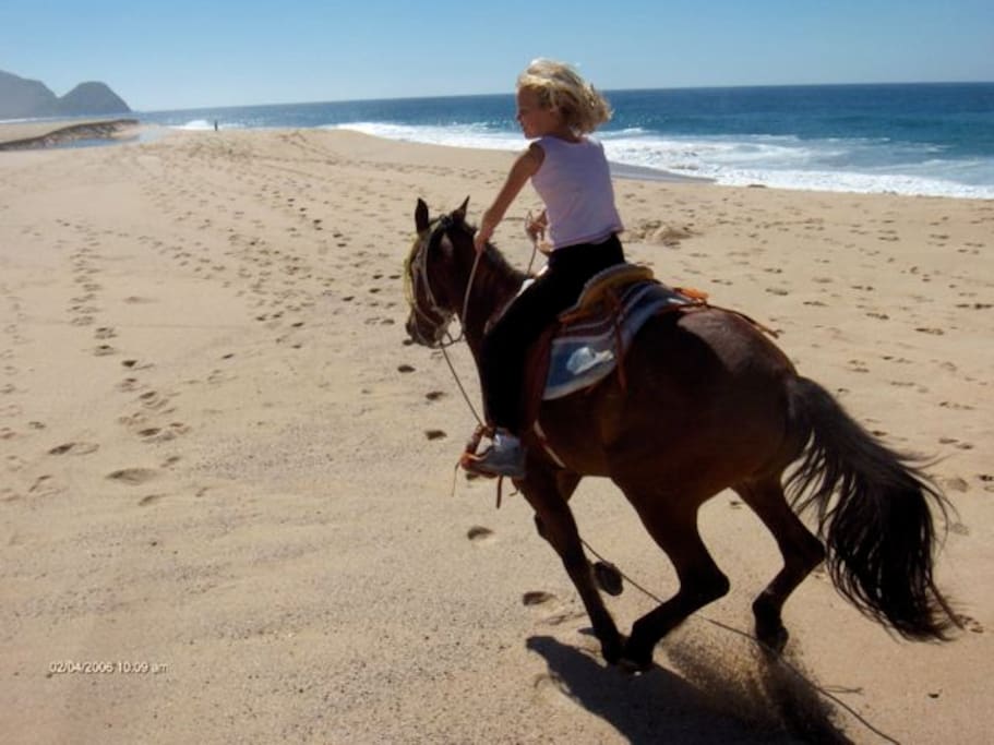 Keira flies free on our beach, so beautiful and wild and open. Incredible