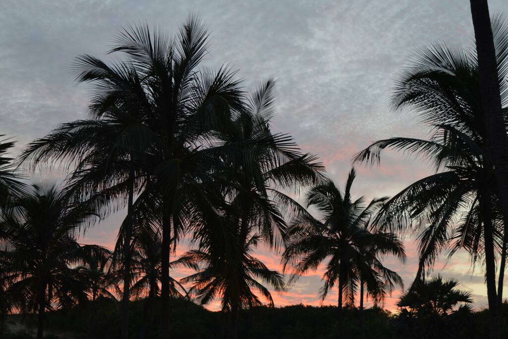 Sunset view over sand dune from the treehouse