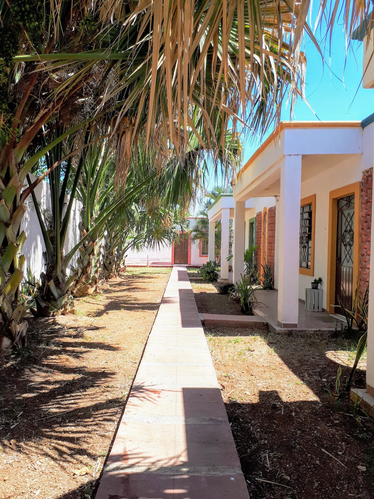 A lined pathway is visible, bordered by palm trees and low shrubs, leading up to the entrance of the residence. Sunlight filters through the leafy canopy, creating a natural atmosphere in the outdoor space.