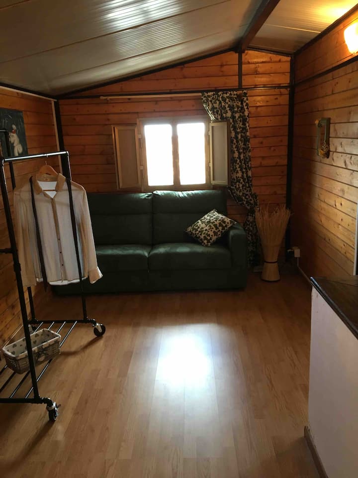 โซฟาเบดใหญ่ 