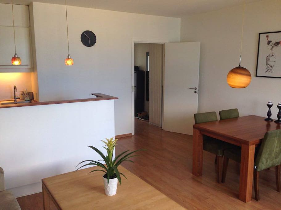 Livingroom and entrance