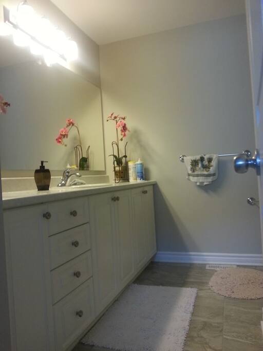 Big bathroom with cozy tub