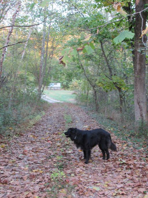 Driveway