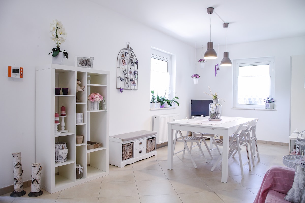 A bright dining area features a white table surrounded by four chairs. A decorative shelving unit displays various decor items, while a large flat-screen TV is positioned against the wall. Natural light enters through two windows, complemented by potted plants and hanging decor.