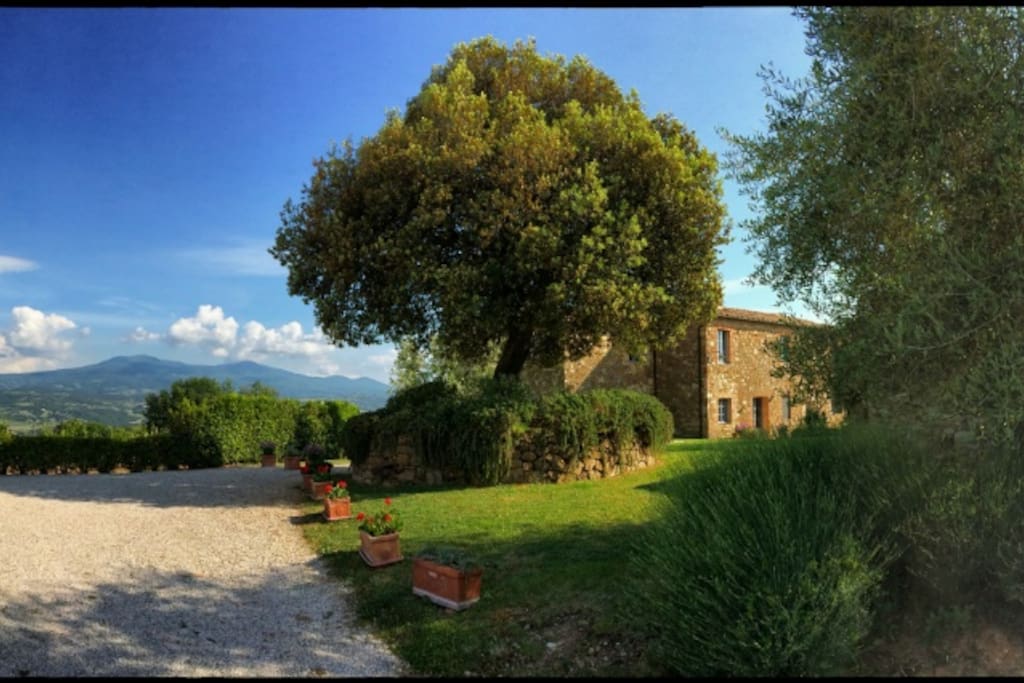 garden