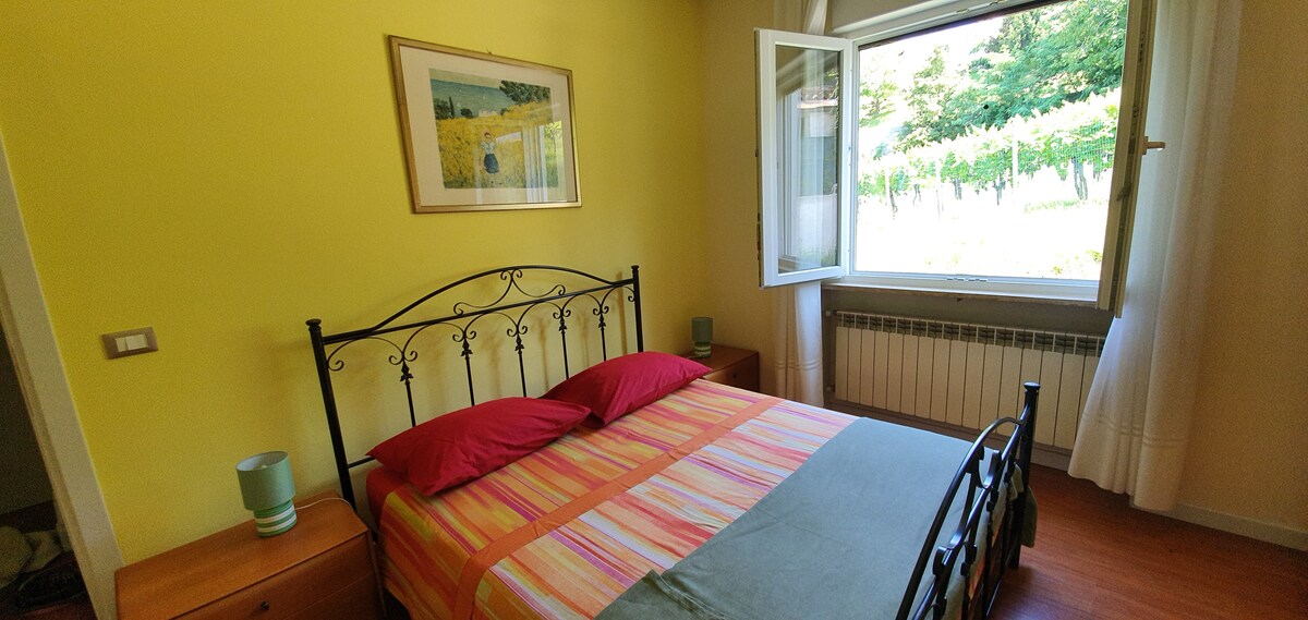 A spacious bedroom features a black metal bed with colorful bedding, complemented by side tables with lamps. A large window offers a view of the surrounding greenery, while light yellow walls enhance the room's cheerful ambiance. A framed picture adorns the wall above the bed.
