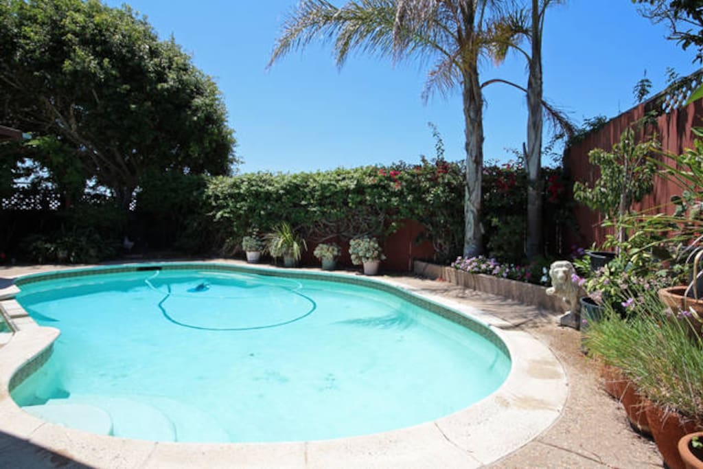 Pool and backyard