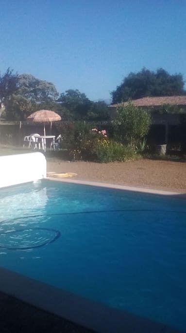 piscine et salon de jardin
