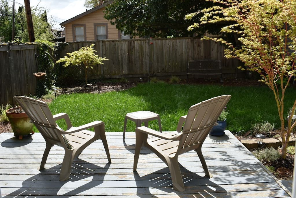 Backyard