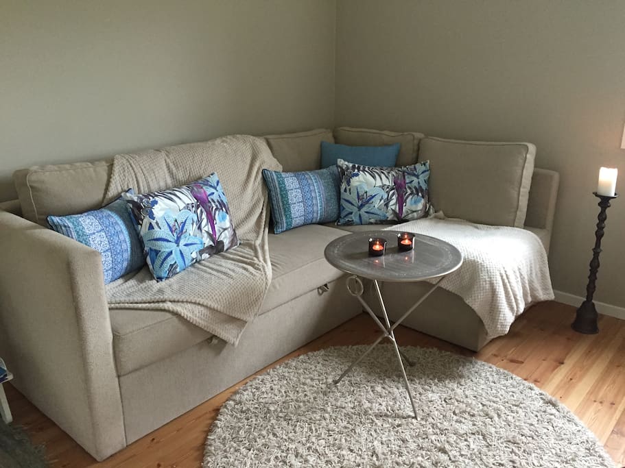 Livingroom with sofa bed