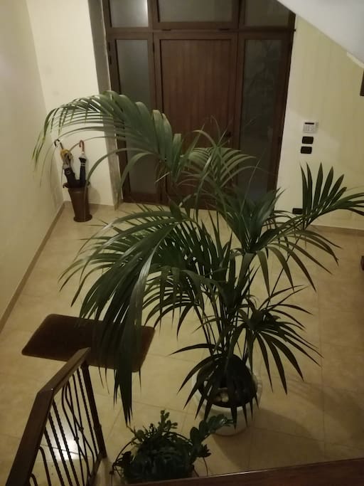 Ingresso dell'edificio