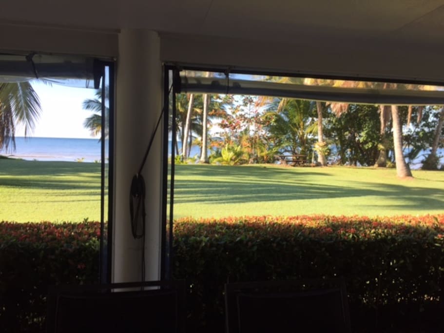 View from Patio