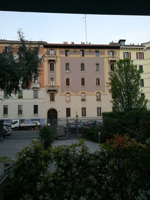 The house