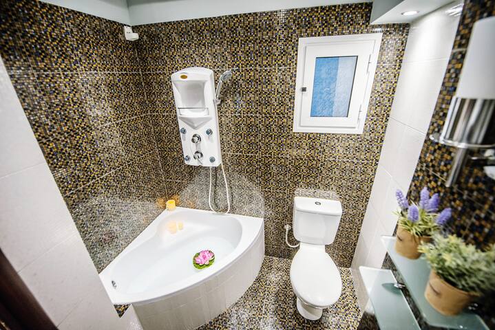 One-of-a kind LUXURY home downtown Near HELEXPO gallery image 5