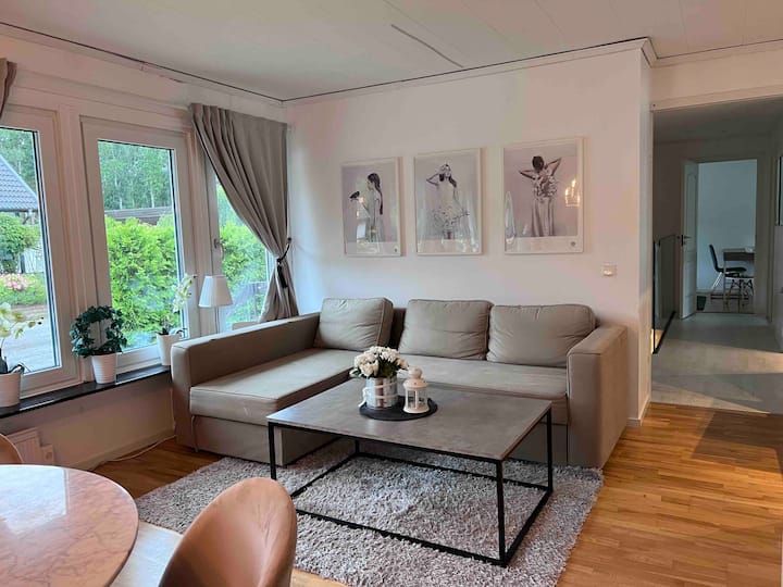 Sala de estar con sofá cama