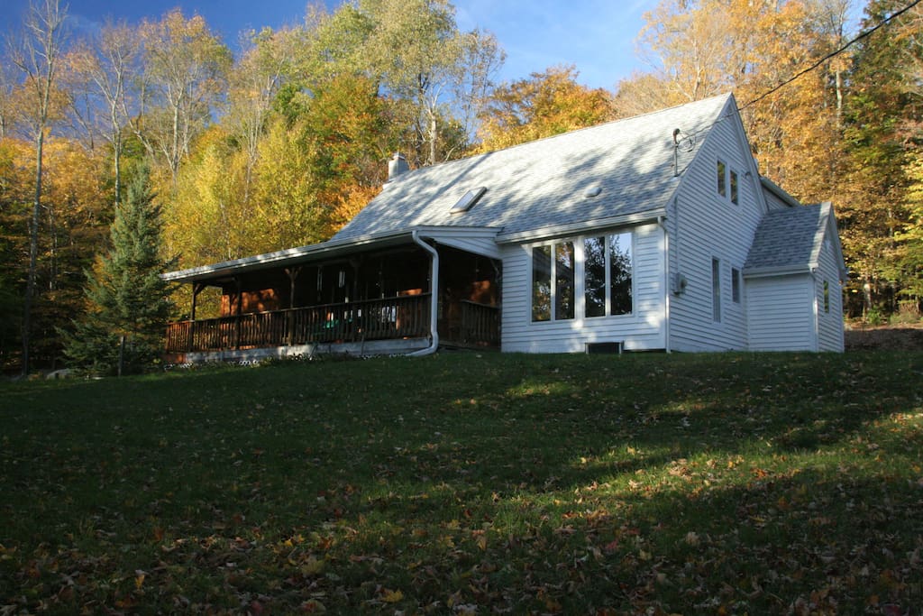 Shown in the autumn foliage.