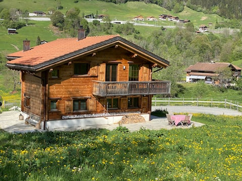 Luxurious chalet in wonderful surroundings