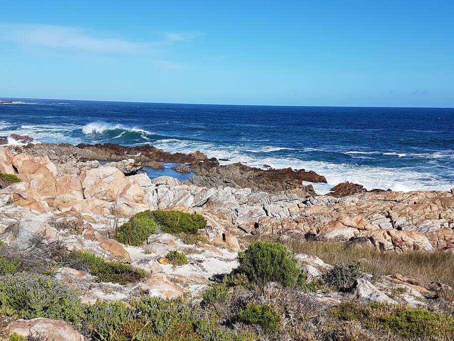 View from Cottage