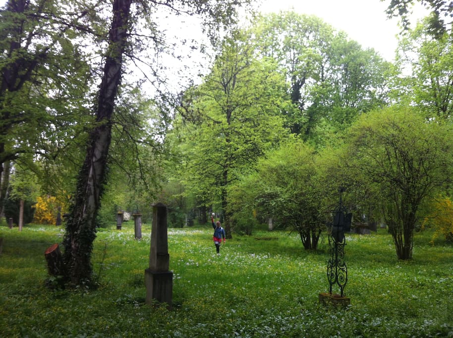 In spring every thing is green