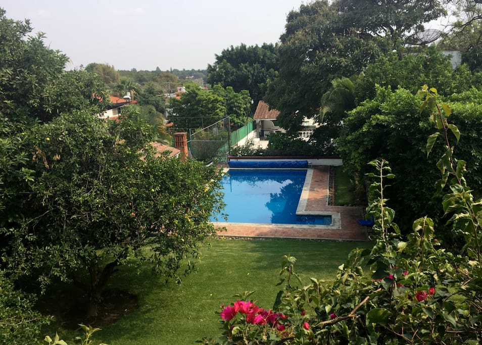 Vista del jardín y la alberca desde la planta alta
