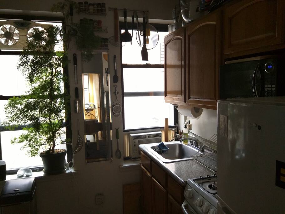 Well-appointed kitchen