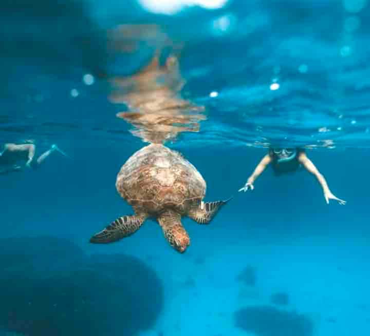 Anse Turin locations de vacances et logements Martinique Airbnb