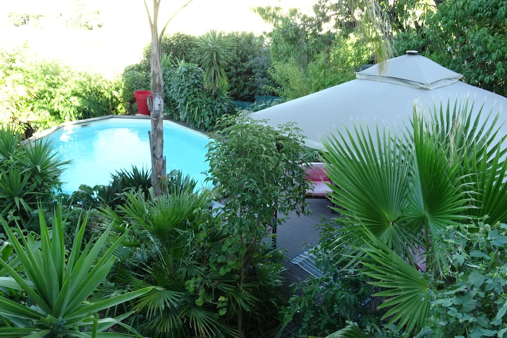 Le jardin avec sa pergola..