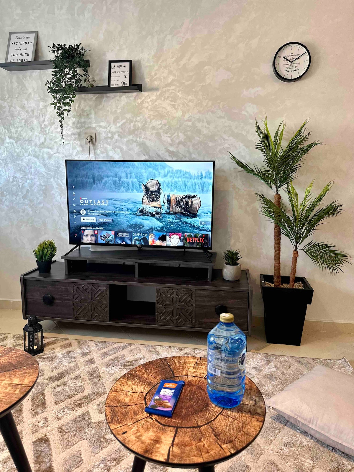 A comfortable seating area features a large screen television displaying streaming options. Two wooden side tables are positioned in front, one with a bottle of water, and the other is minimalistic. A decorative plant adds a touch of green beside a stylish rug on the floor.