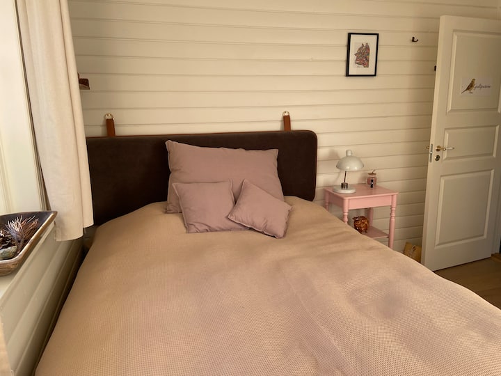 العصفور الأصفر هو الغرفة الرومانسية الوردية. 