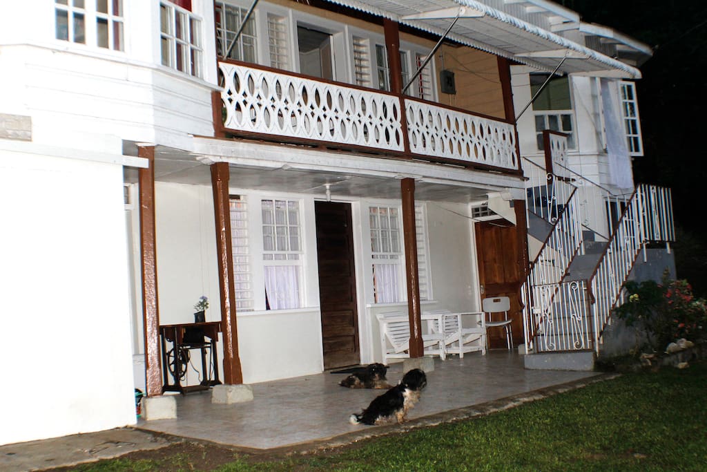 Champaign and Diva, the welcoming committee on the front porch
