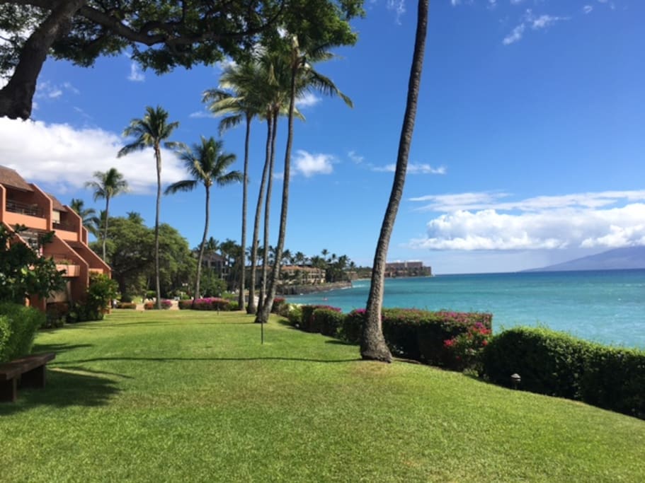 Lawn at Kuleana resort