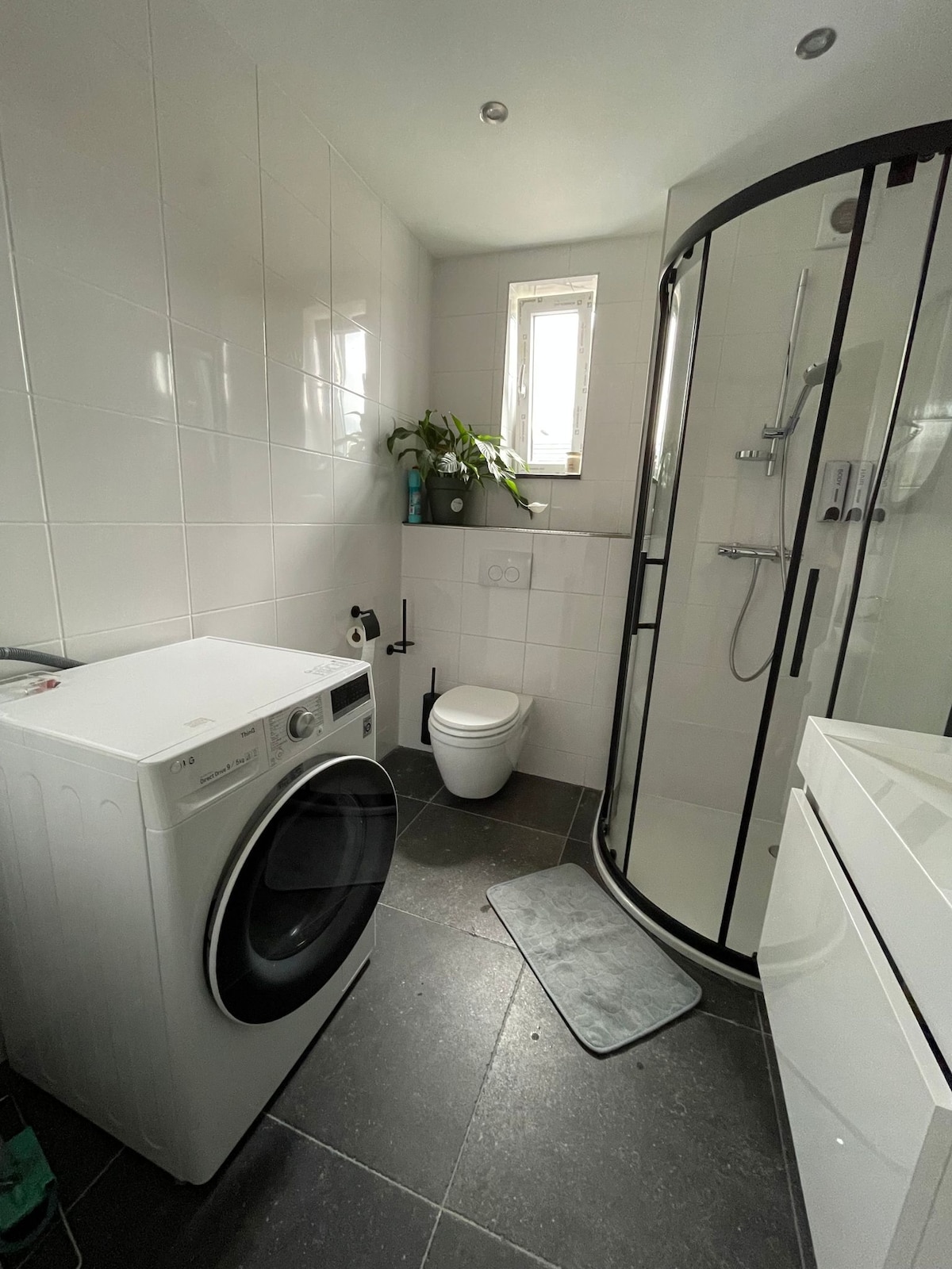 The bathroom features a modern washing machine beside a sleek shower area enclosed by glass. A compact toilet is positioned for convenience. Natural light filters in through a small window, and a potted plant adds a touch of greenery to the clean, tiled space.