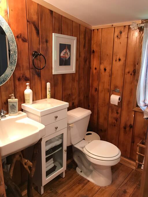 Bathroom with a shower, basic toiletries and a hairdryer.