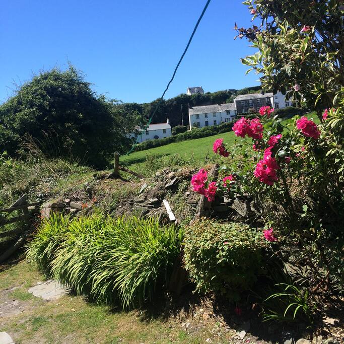 View from front door
