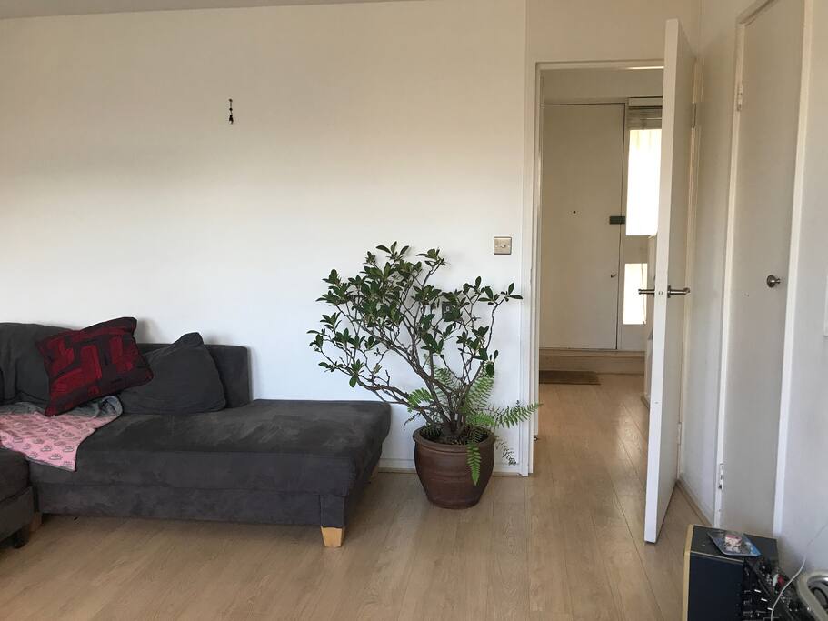 Living room looking out to kitchen and front door.
