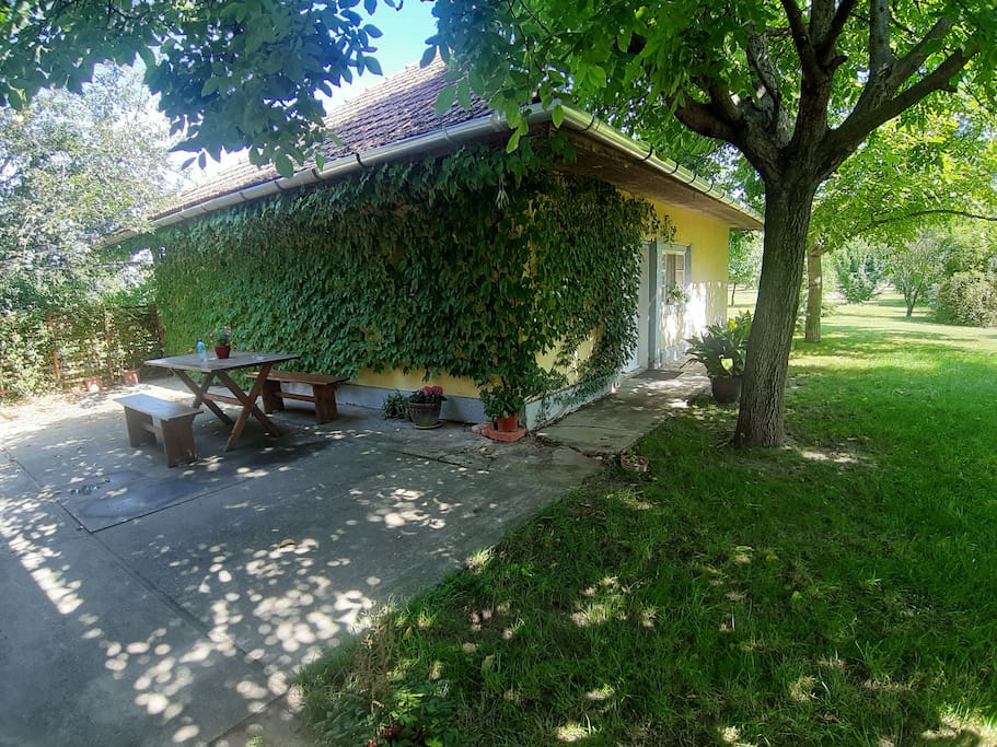 Hungarian farmhouse Houses for Rent in Zákányszék, Csongrád, Hungary