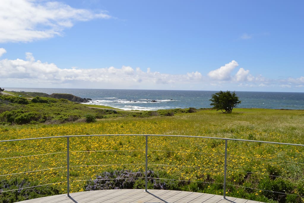 Bodega Bay Beach Home View
