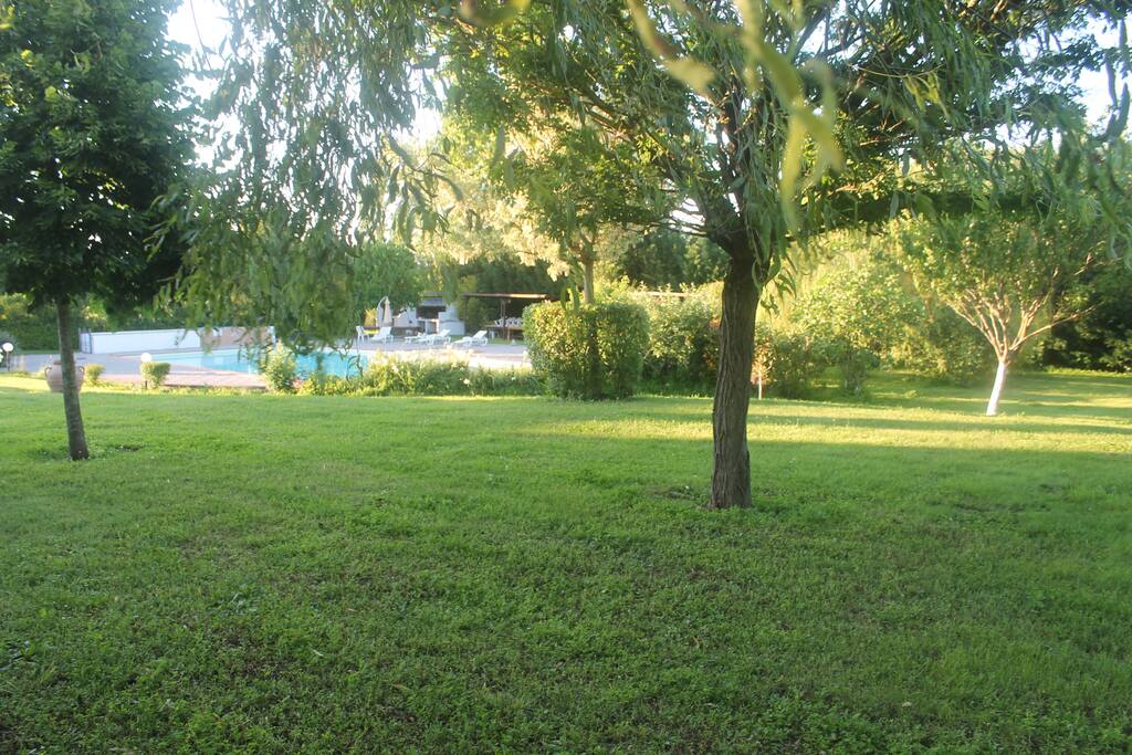 Garden Pool