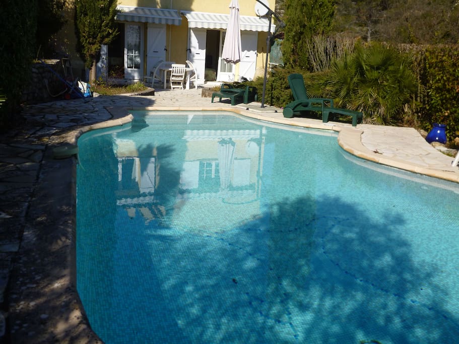 La piscine et la terrasse en arriere plan